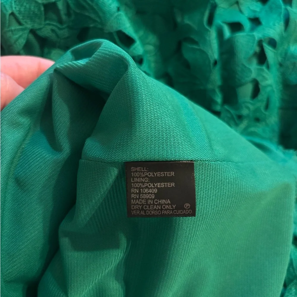 NWT Elegant Grass Green Lace Dress by Antonio Melani size 10. - Picture 4 of 4